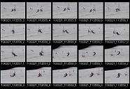 album21a032