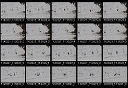 album21a035