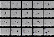 album21a036