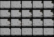album21a040