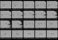 album21a041