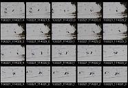 album21a059