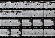 album21a073