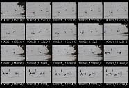 album2100008