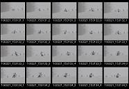 album2100060