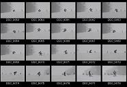 album2100183